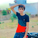 Cat beautiful lover 34