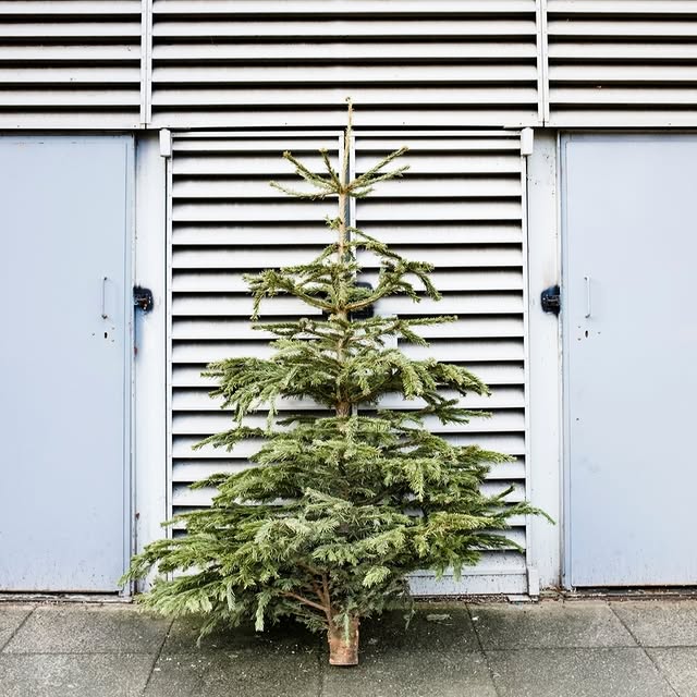 Post by livedinstylemag