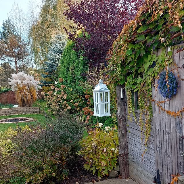 Post by imperfect_garden_pl