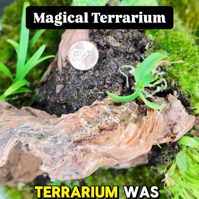 Post by tannertheplanter