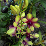 Christian Mueller's profile picture