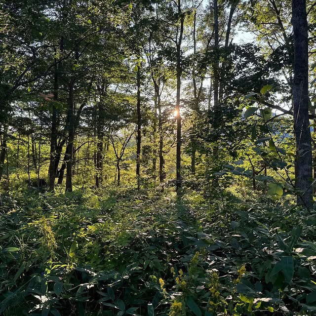 Post by danpearsonstudio