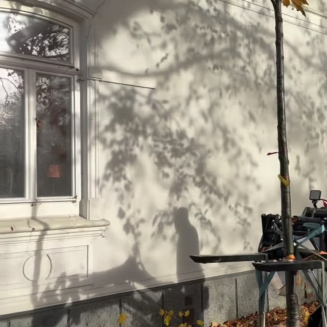 Post by jugendstilhaus