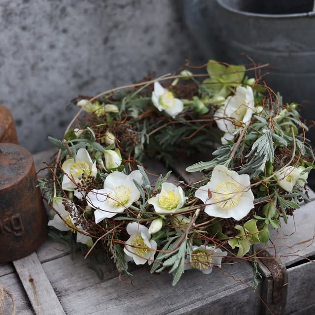 Post by brodkorbsophie