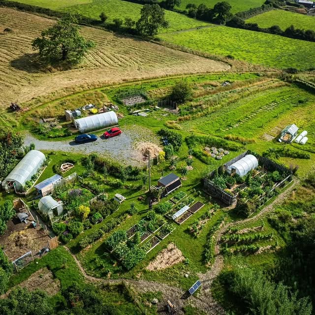 Post by daily_gardening_life