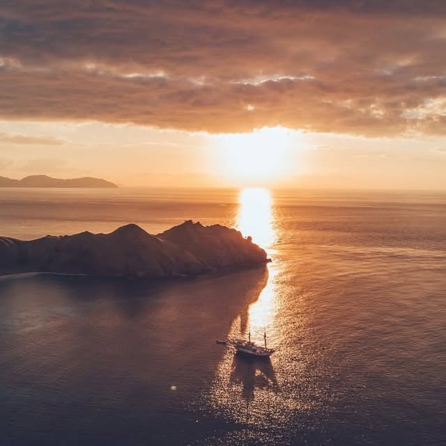 Post by mantarheidivecenter