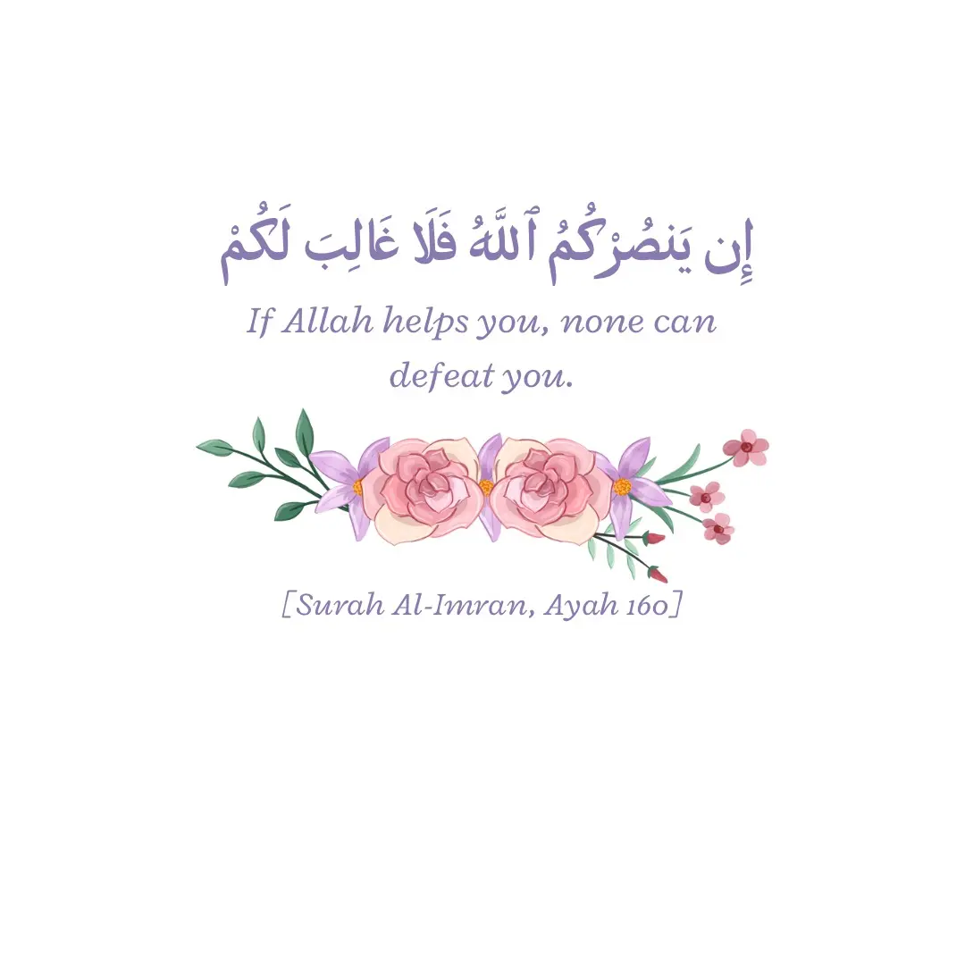 QuranReciteandReflect's profile picture