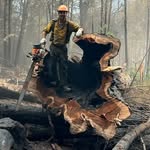 Jesse Austen's profile picture