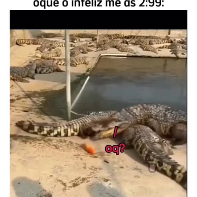 Post by gu1lh3rme_jesus