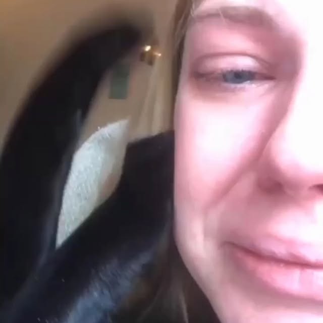 Post by cats_meows_planet