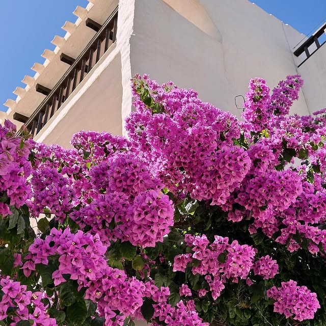 Post by niamhcoakley