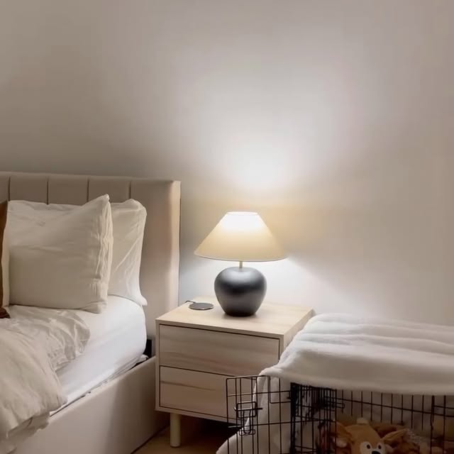 Post by riffraffpets