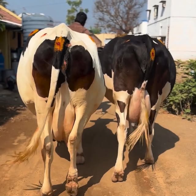 Post by farmingbusiness2020