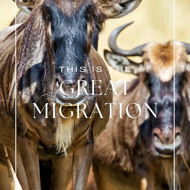 Post by tailoredjourneys