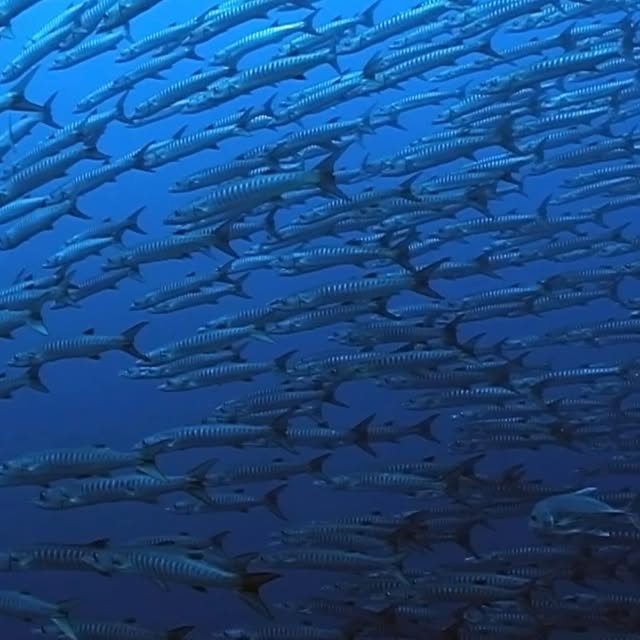 Post by julia.waterchild