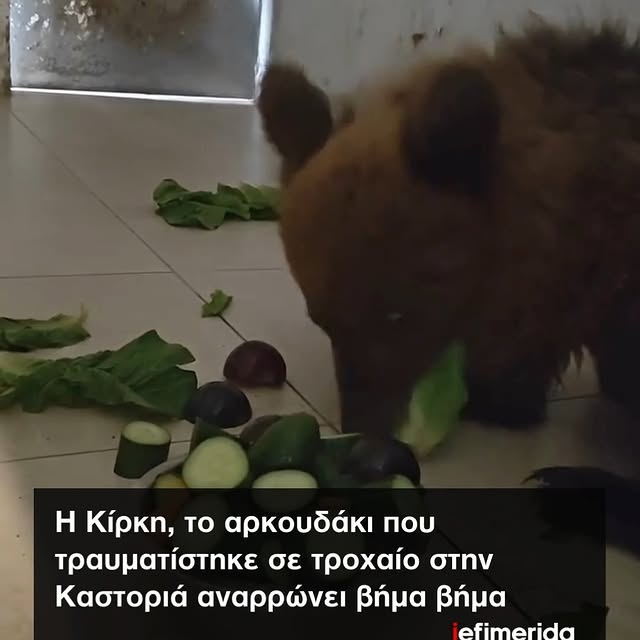 Post by iefimerida.gr