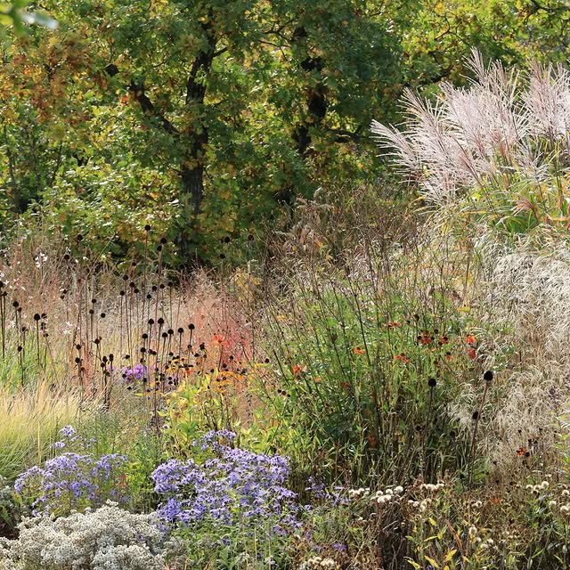 Post by vill_hageglede