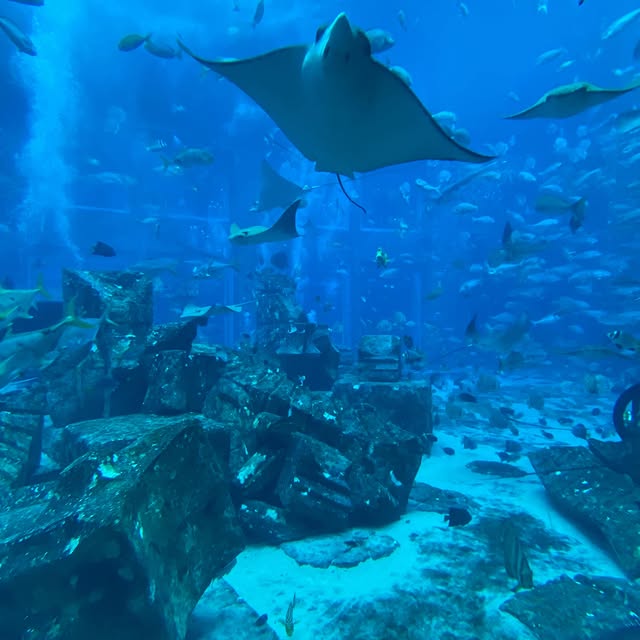 Post by liquidity_trading_