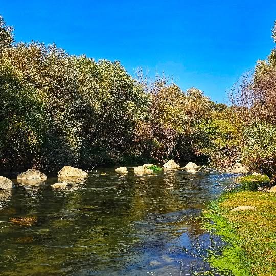 Post by chiako_adventure