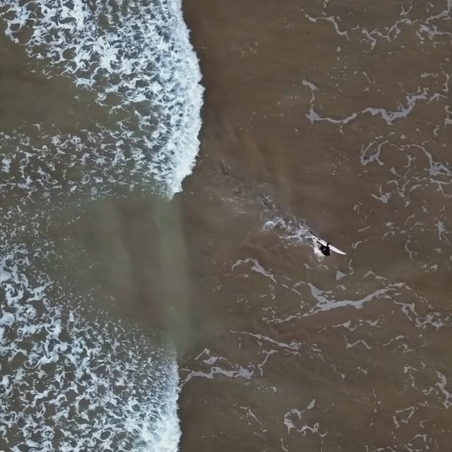 Post by wateringholecornwall