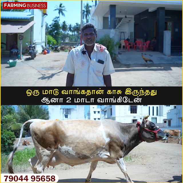 Post by farmingbusiness2020