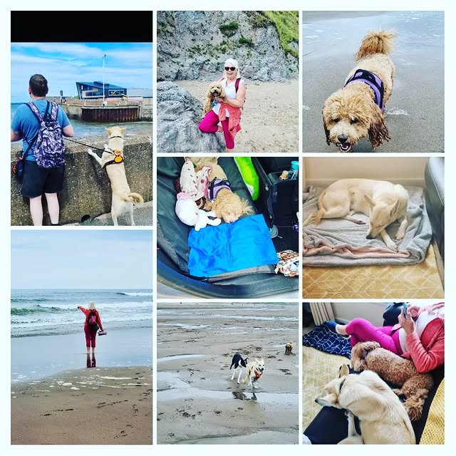 Post by danylwilliam