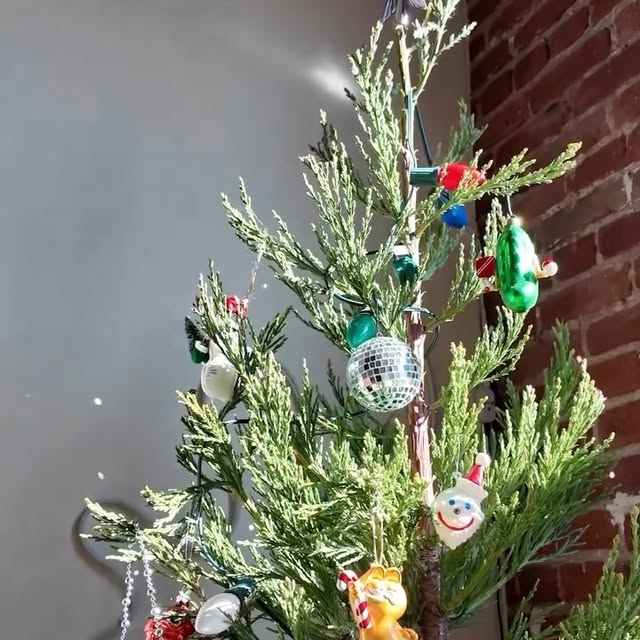 Post by homegirlhannah_