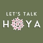 Let's Talk Hoya's profile picture