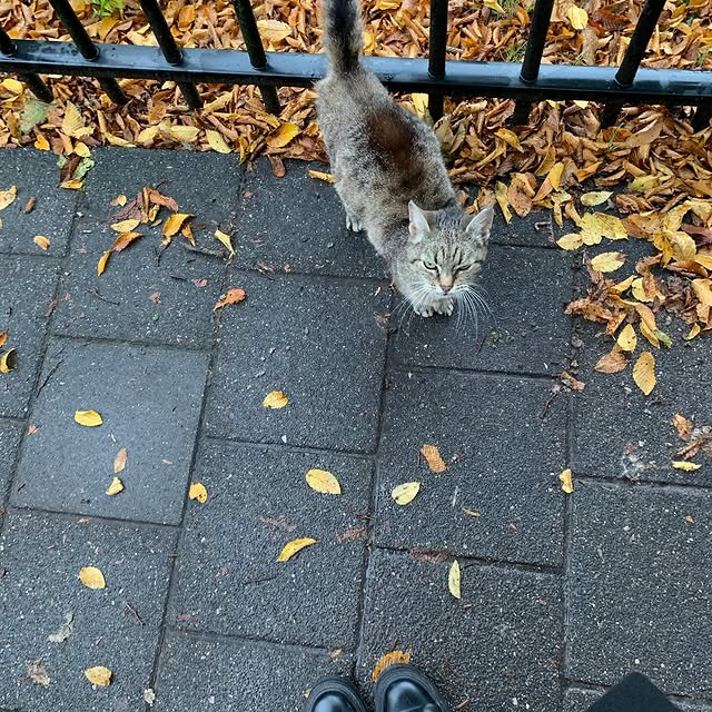 Post by literarywarfare