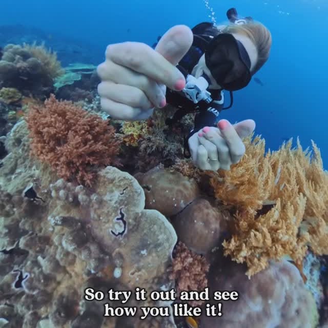 Post by julia.waterchild