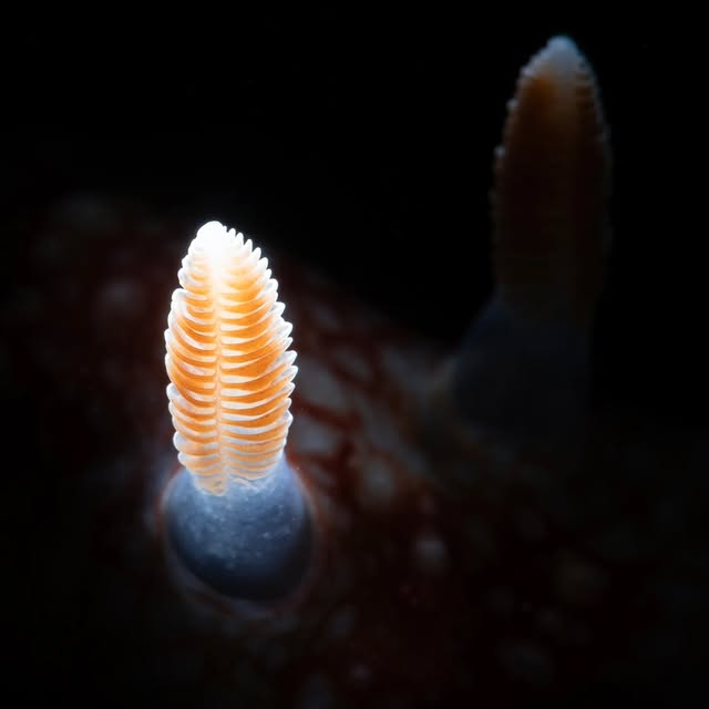 Post by huntingforparadise