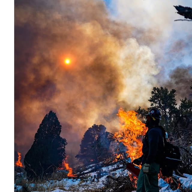 Post by nevada_fuels