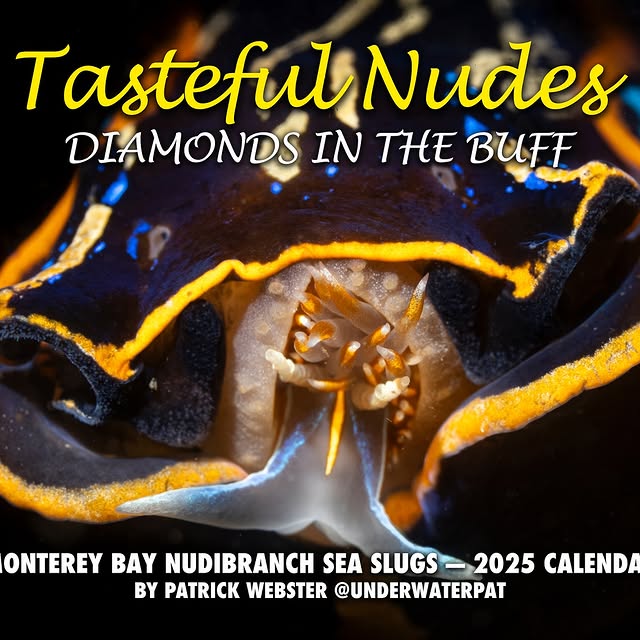 Post by underwaterpat