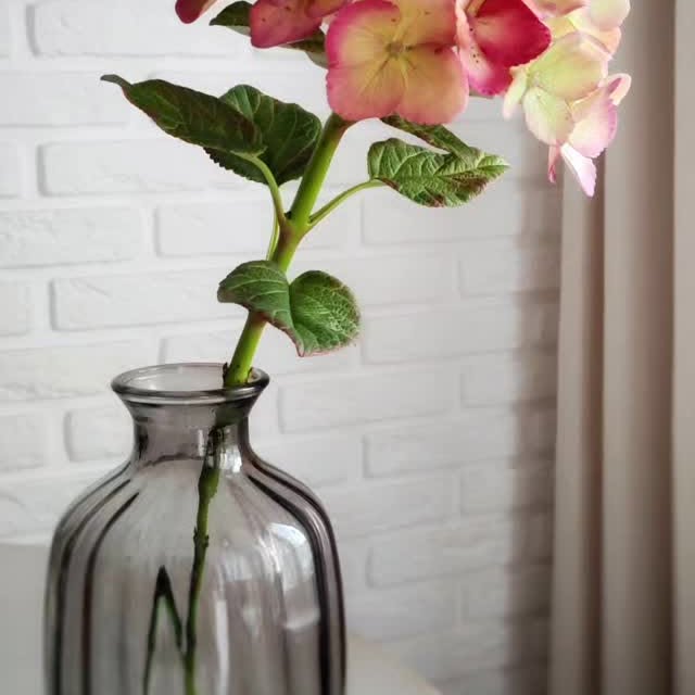 Post by territoryofflowers