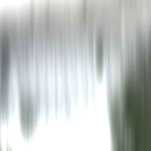 Post by tukangtamanmedann