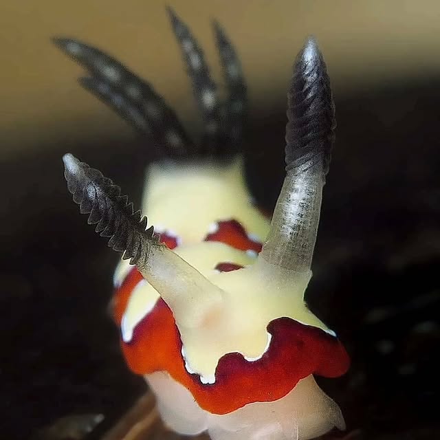 Post by kathrin_underwater