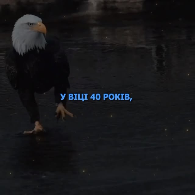 Post by emotivatiion