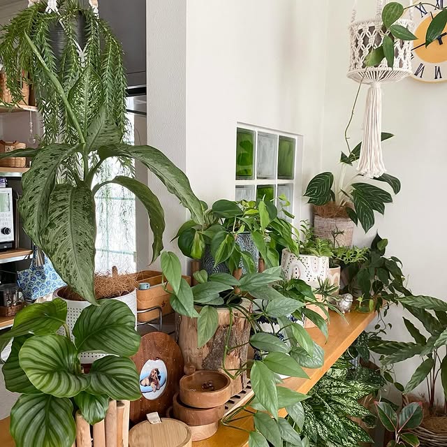 Post by time_with_liberty