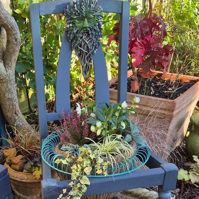 Post by the_hampshire_gardener