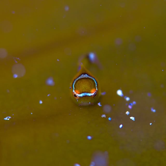 Post by chishimamurakami