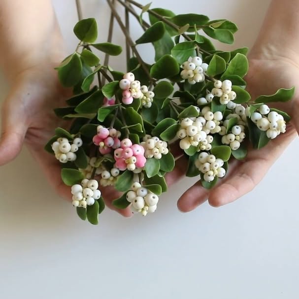 Post by natalia_jelonkina