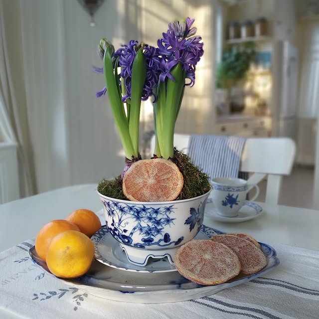 Post by sofiehills_tradgard