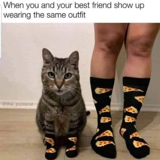 Post by furbabyfriend