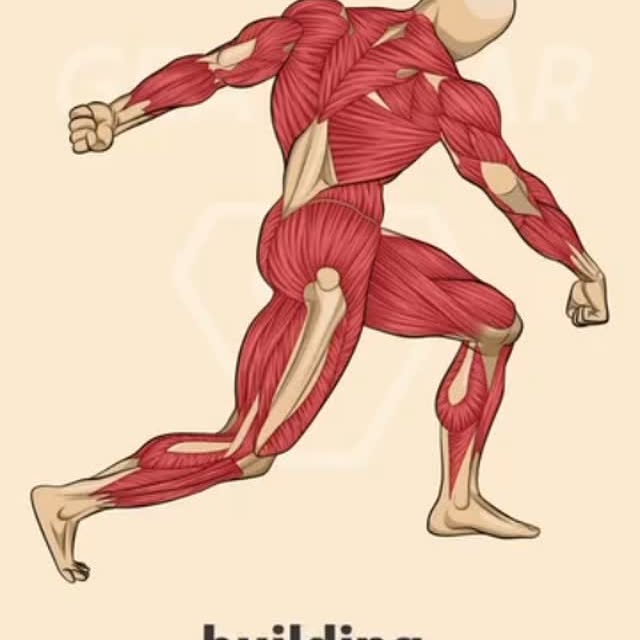 Post by calisthenics_lords