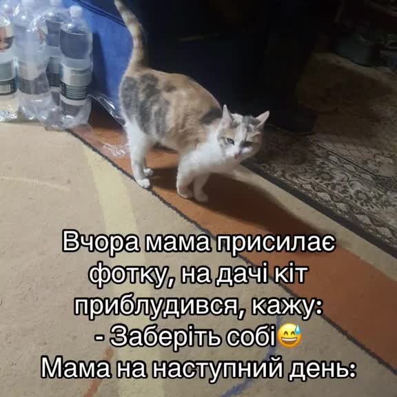 Post by animals_humor_ua