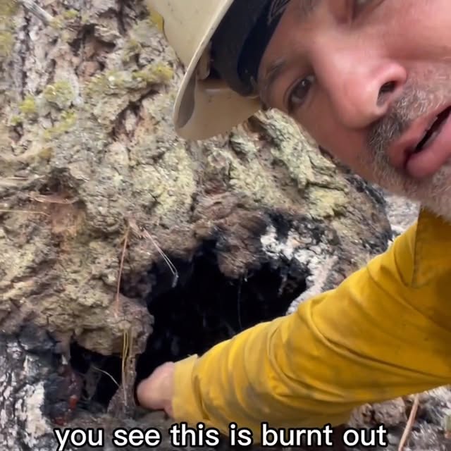 Post by thejosephpowell