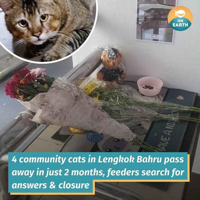 Post by mothershiponearth