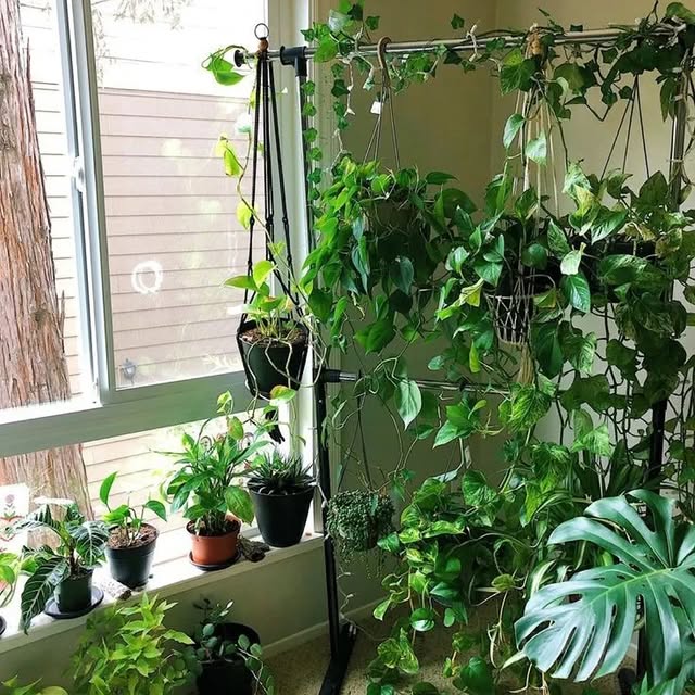 Post by plant_lovers4