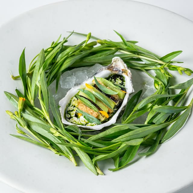 Post by david_toutain