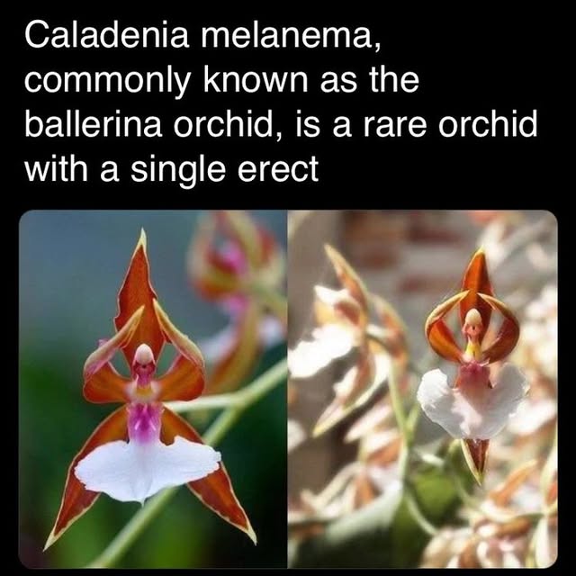 Post by jerryscience